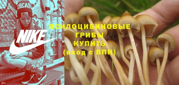 МДМА Арсеньев