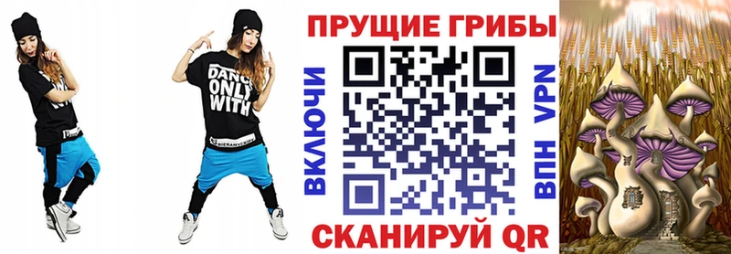 ссылка на мегу ТОР  Нижний Ломов  Галлюциногенные грибы мицелий  купить закладку 